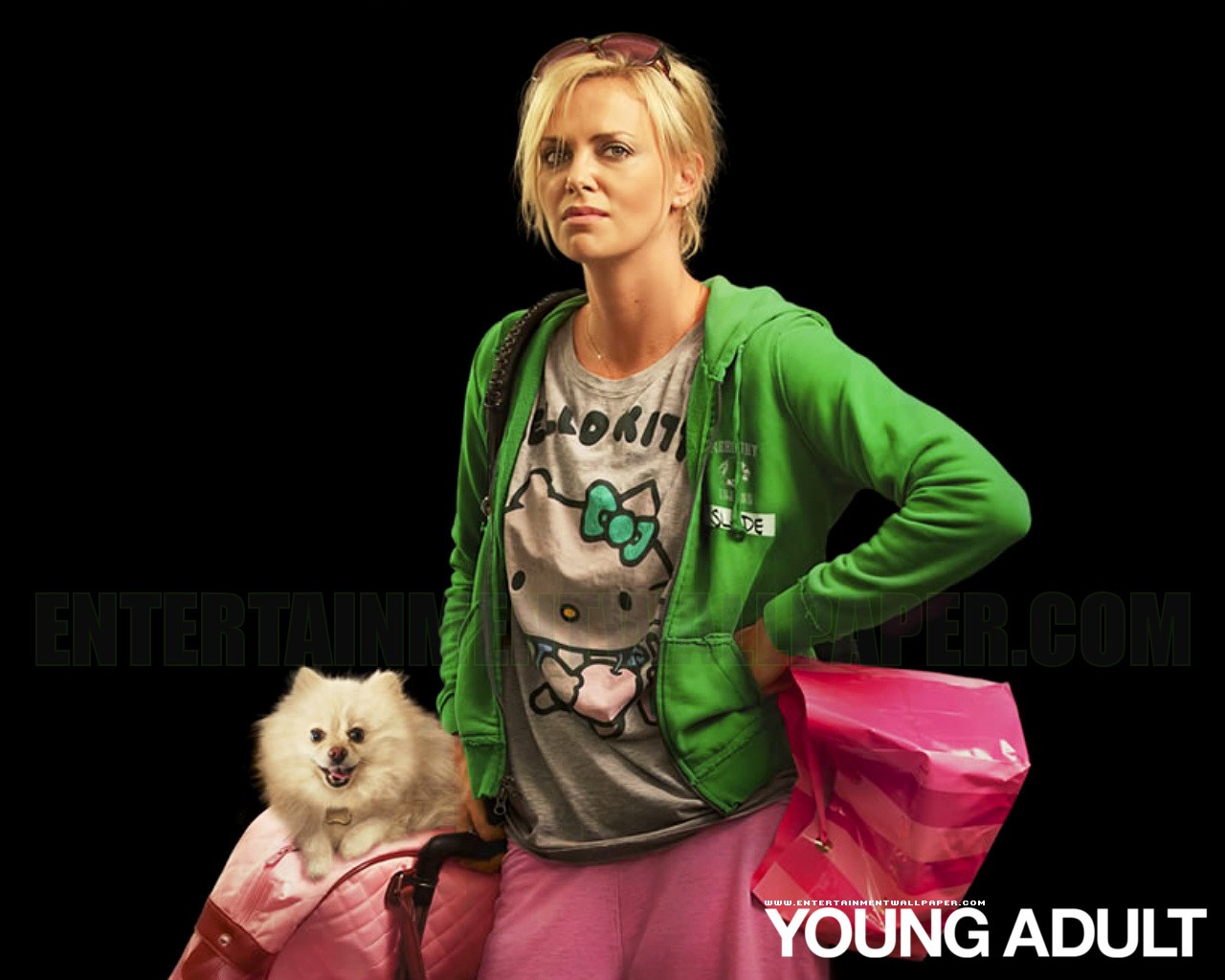 For Your Consideration 2011: “Young Adult”