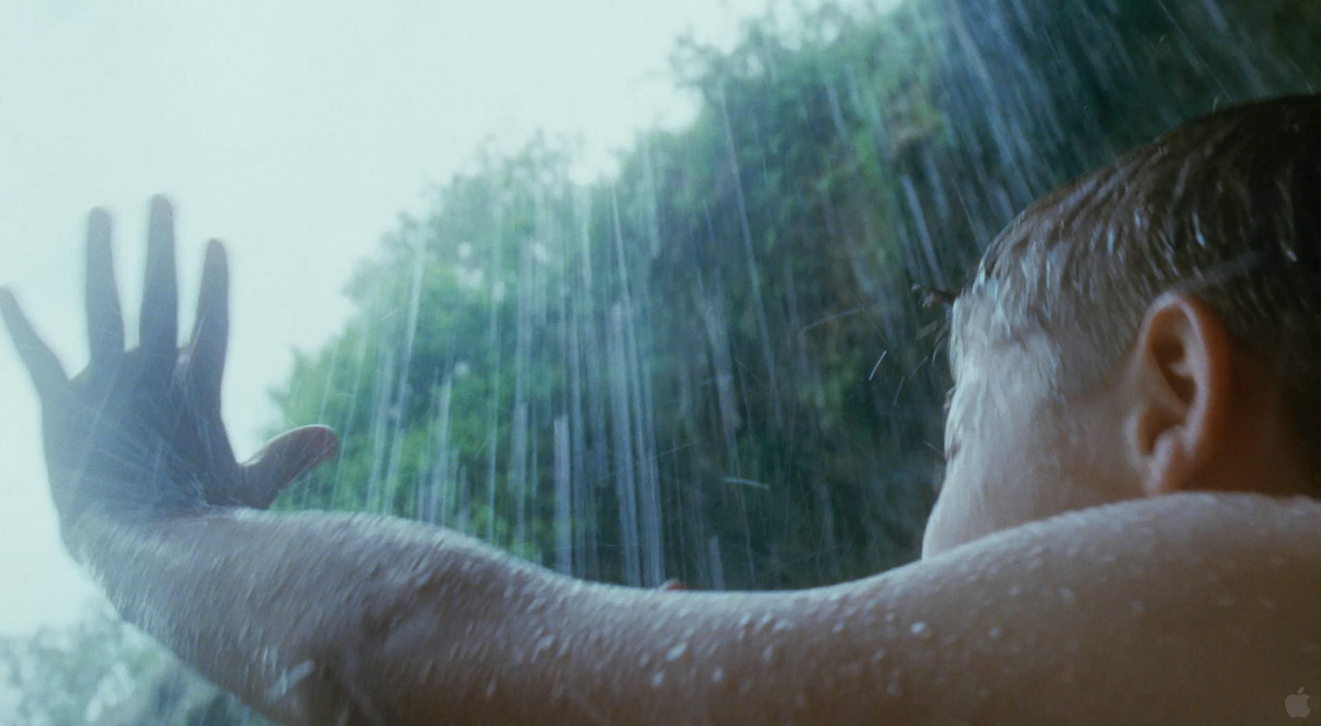 Oscars Watch: 2011 Chicago Film Critics Association Awards