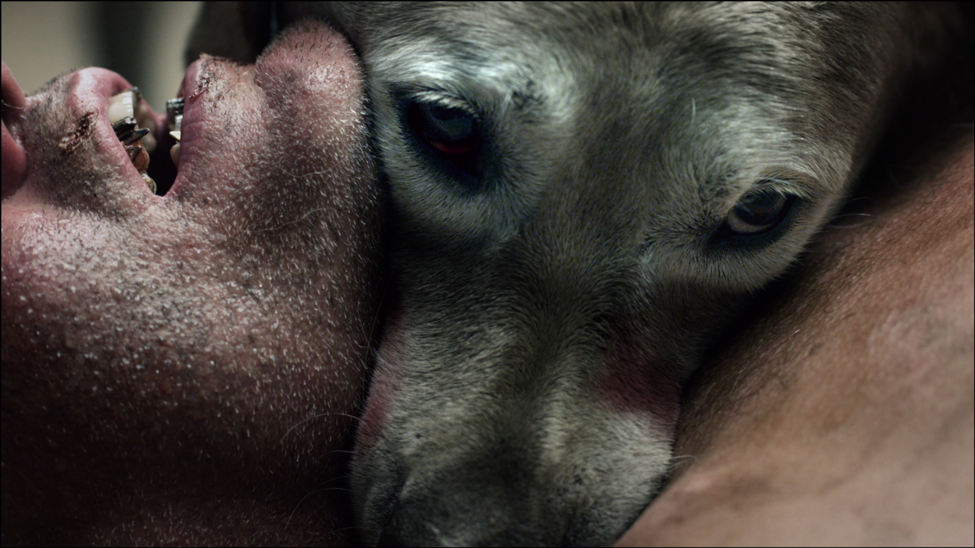 Quick Review: The ABC’s Of Death (2012)