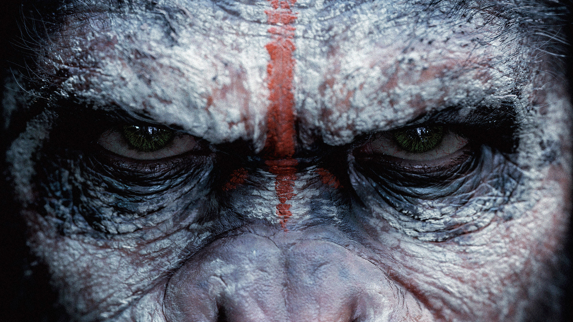 Theatrical Releases: Dawn Of The Planet Of The Apes
