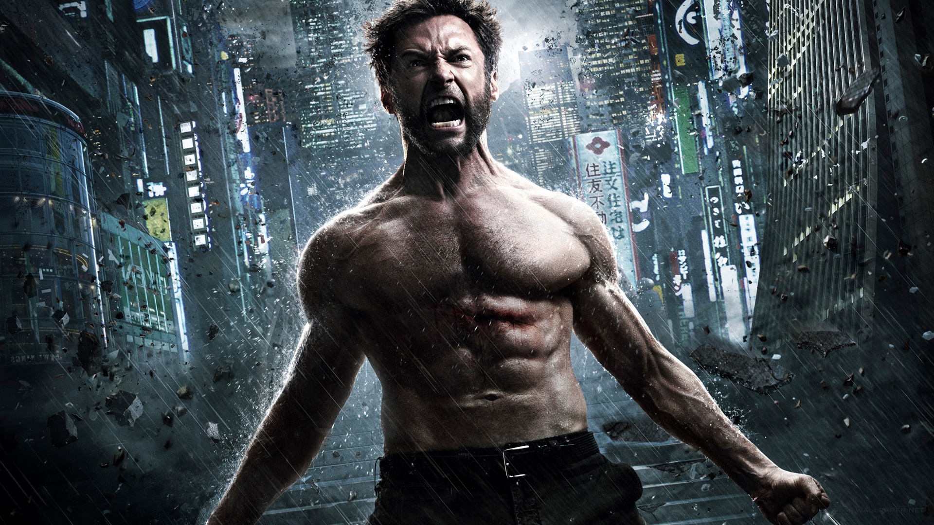 Theatrical Releases: The Wolverine