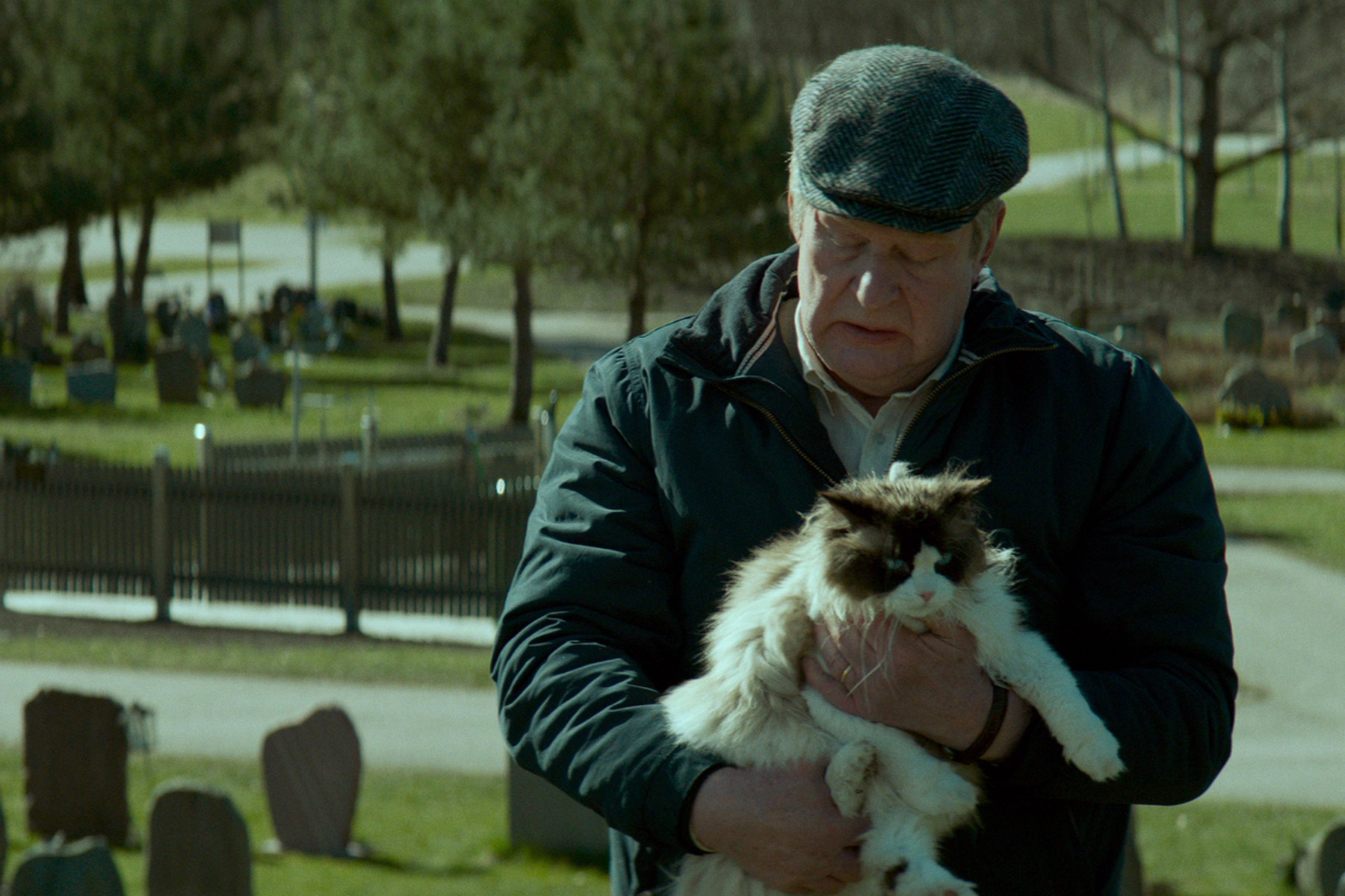 2017 Oscars Challenge: [14] “A Man Called Ove” – Best Foreign Language Feature