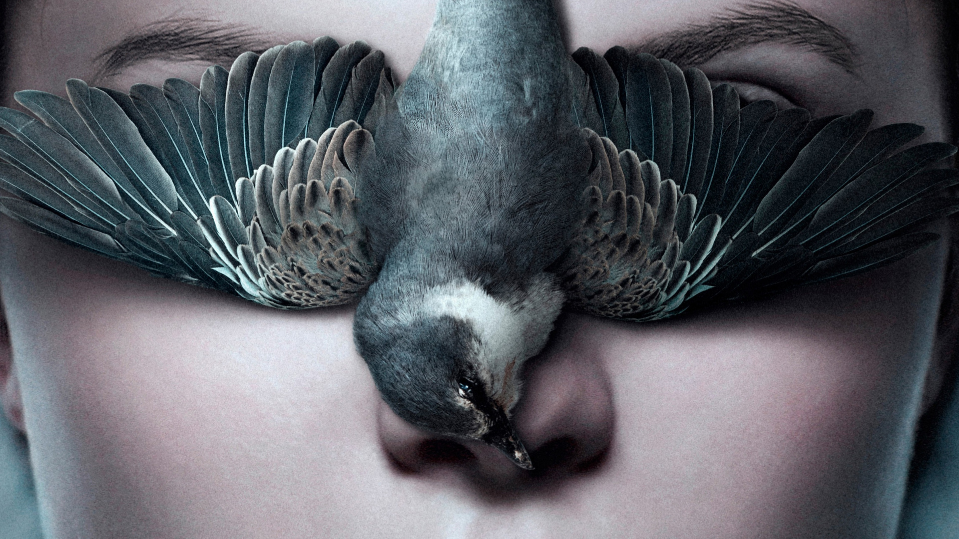 Stream Guide: Thelma & Kodachrome (April 20th, 2018)