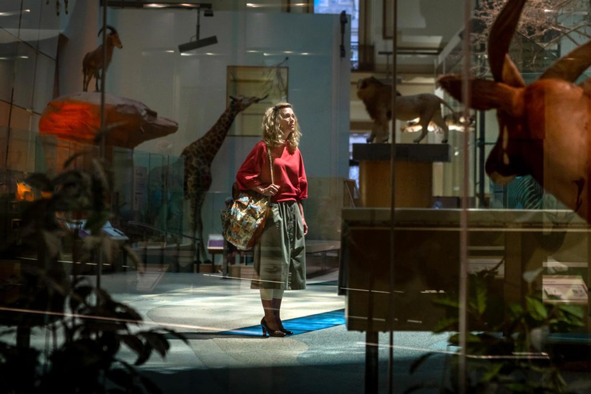 Proof News: Wednesday, June 27th, 2018 – Set Photos from “Wonder Woman” sequel & Tarantino’s new “Hollywood” film