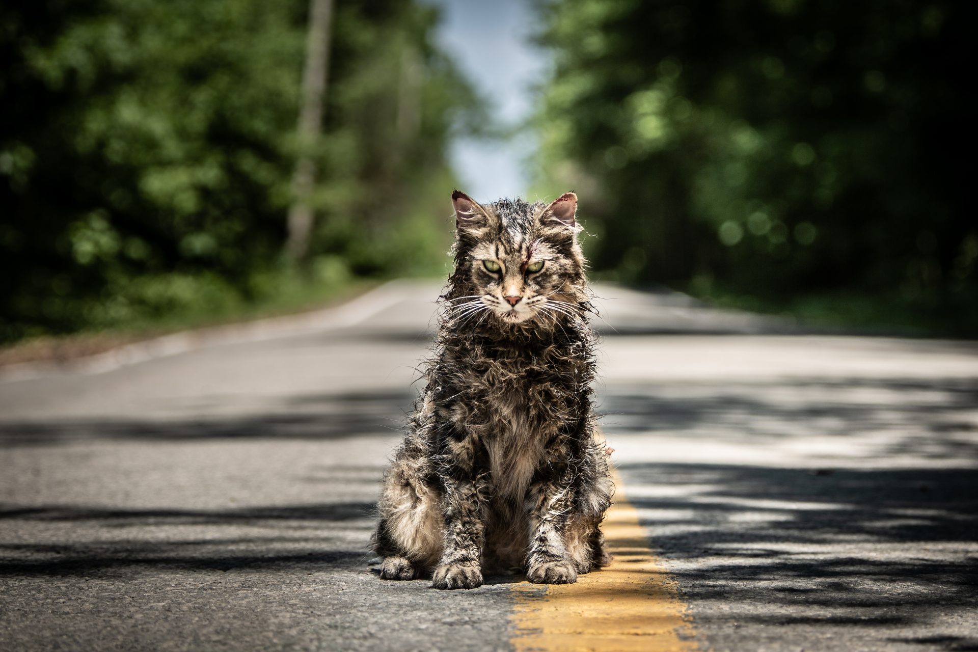 New Trailer: Pet Sematary – Official Trailer #1