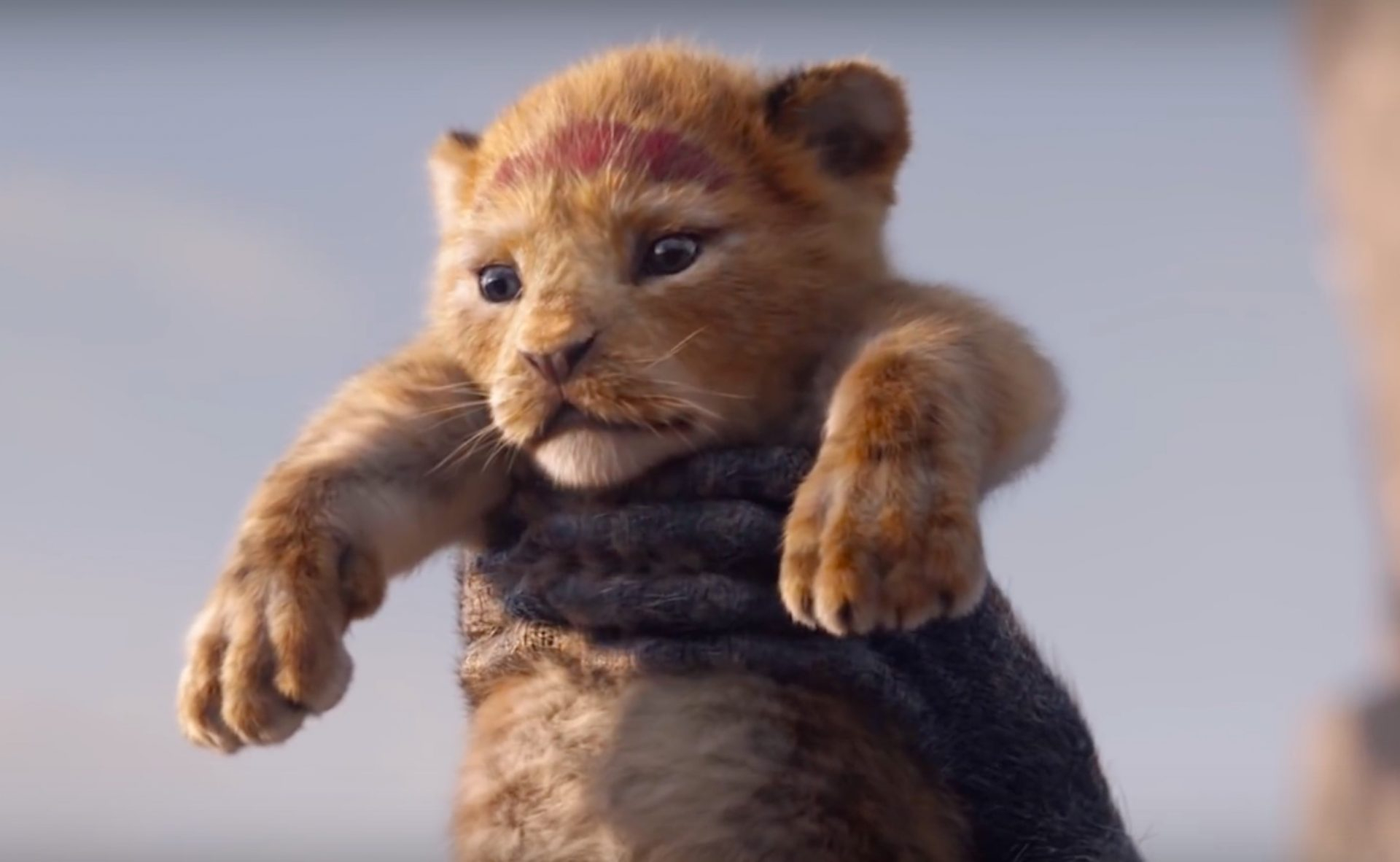 New Trailer: The Lion King – Official Teaser Trailer #1