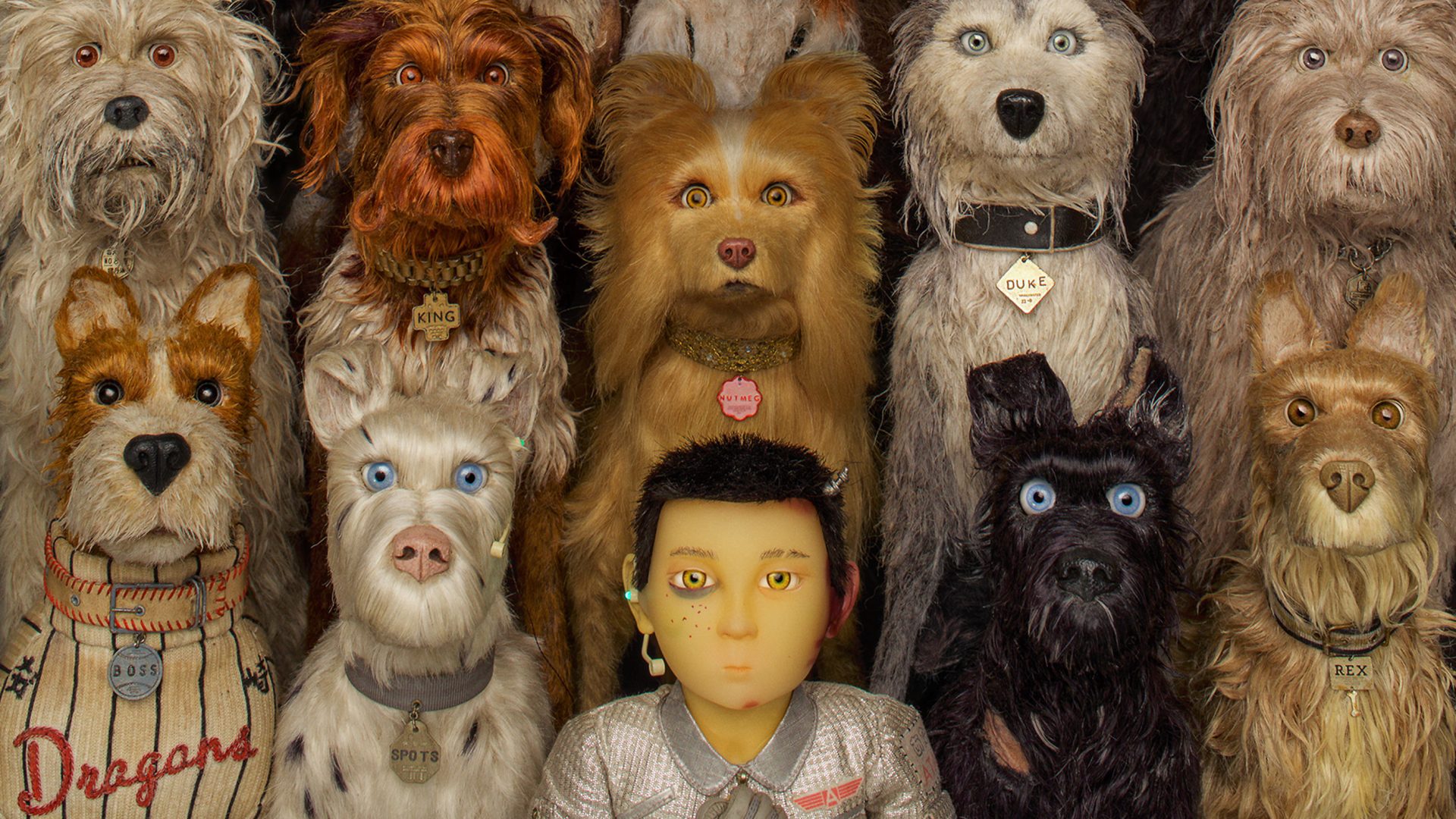 2019 Oscars Challenge: [14] “Isle Of Dogs” – Two Nominations