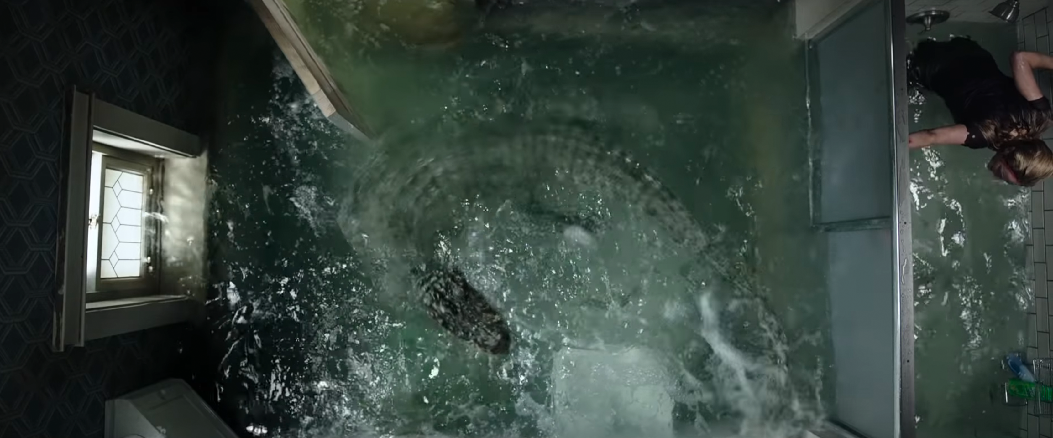 New Trailer: Crawl – Official Trailer #1