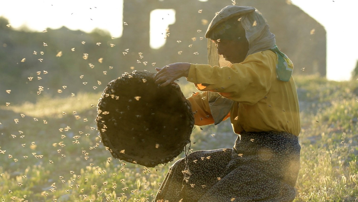 2020 Oscars Challenge: [2] “Honeyland” — Two Nominations