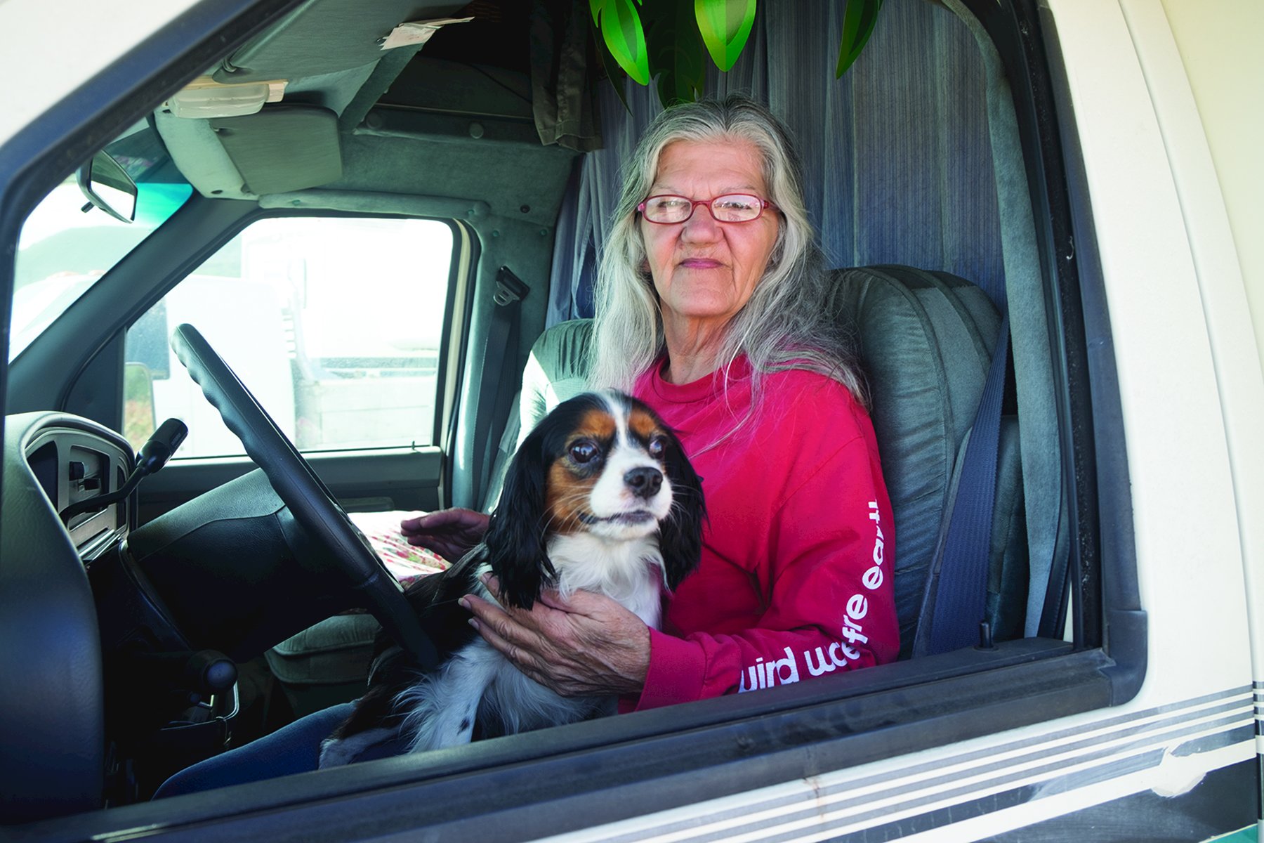 Oscars Watch: 2020 National Society Of Film Critics Awards