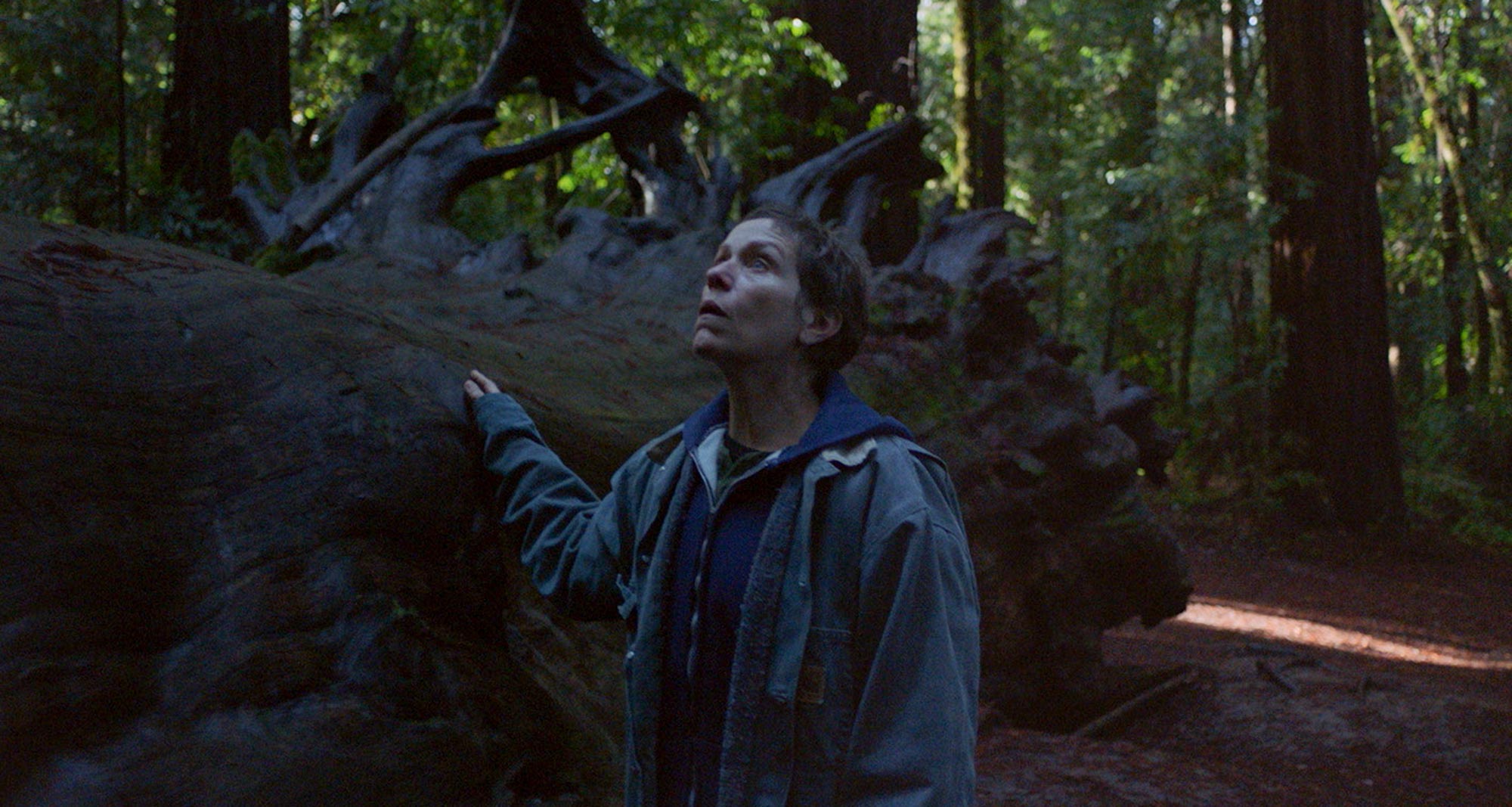 Oscars Watch: 2020 St. Louis Film Critics Association Awards