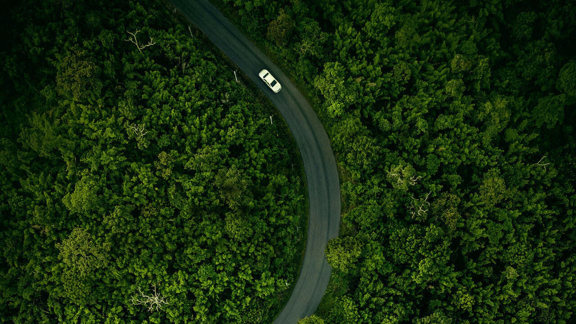 2021 Oscars Challenge: [24] “Hillbilly Elegy” (Two Nominations)