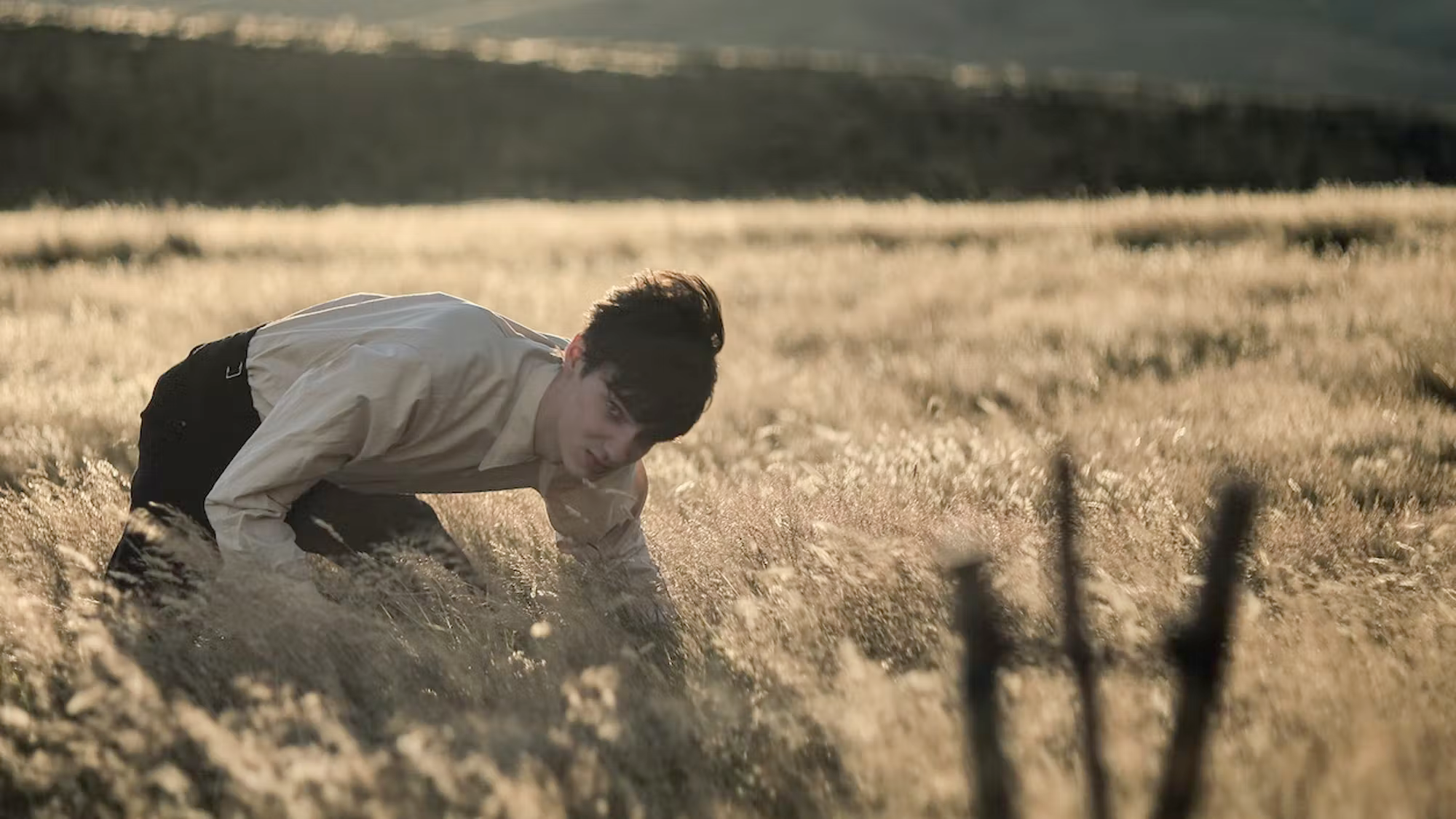 Oscars Watch: 2021 Denver Film Critics Society Awards