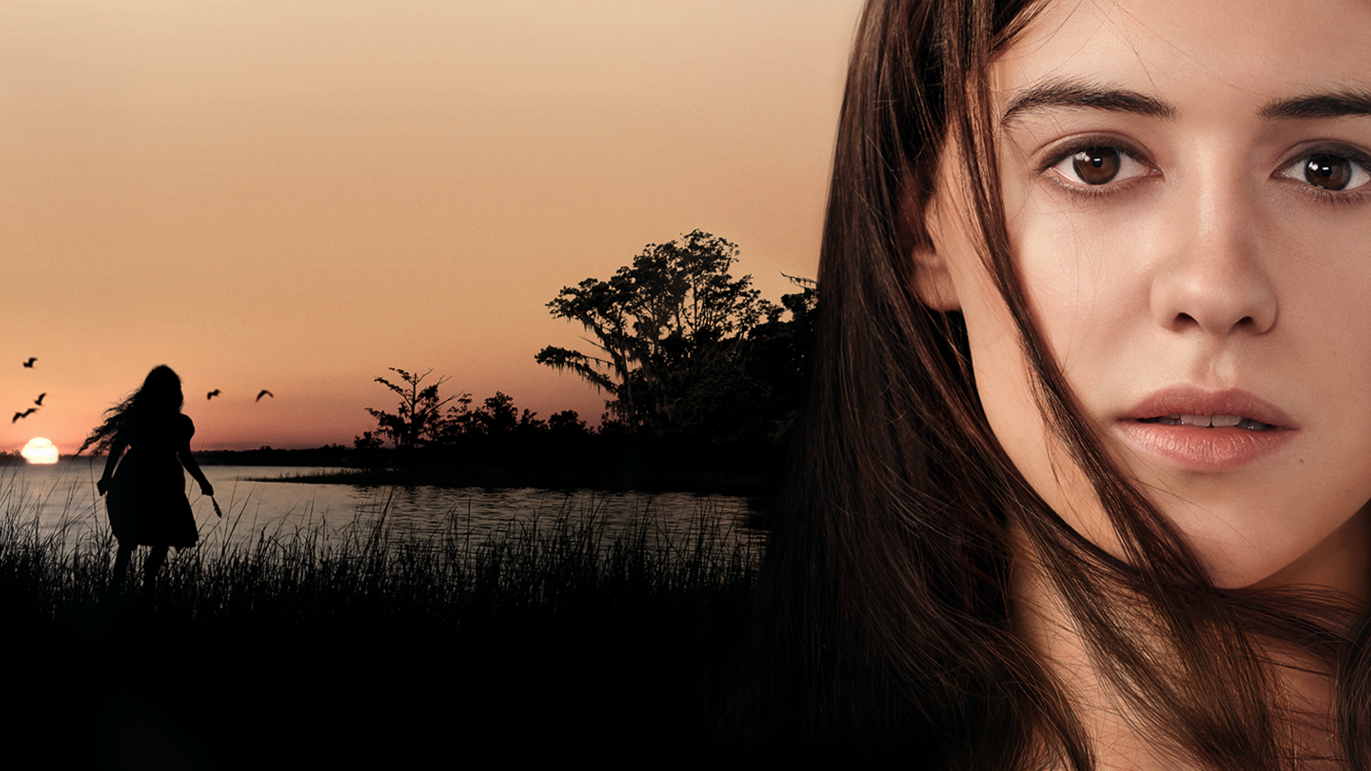 Friday Releases: Where The Crawdads Sing, The Gray Man, Mrs. Harris Goes To Paris, & Paws of Fury: The Legend of Hank