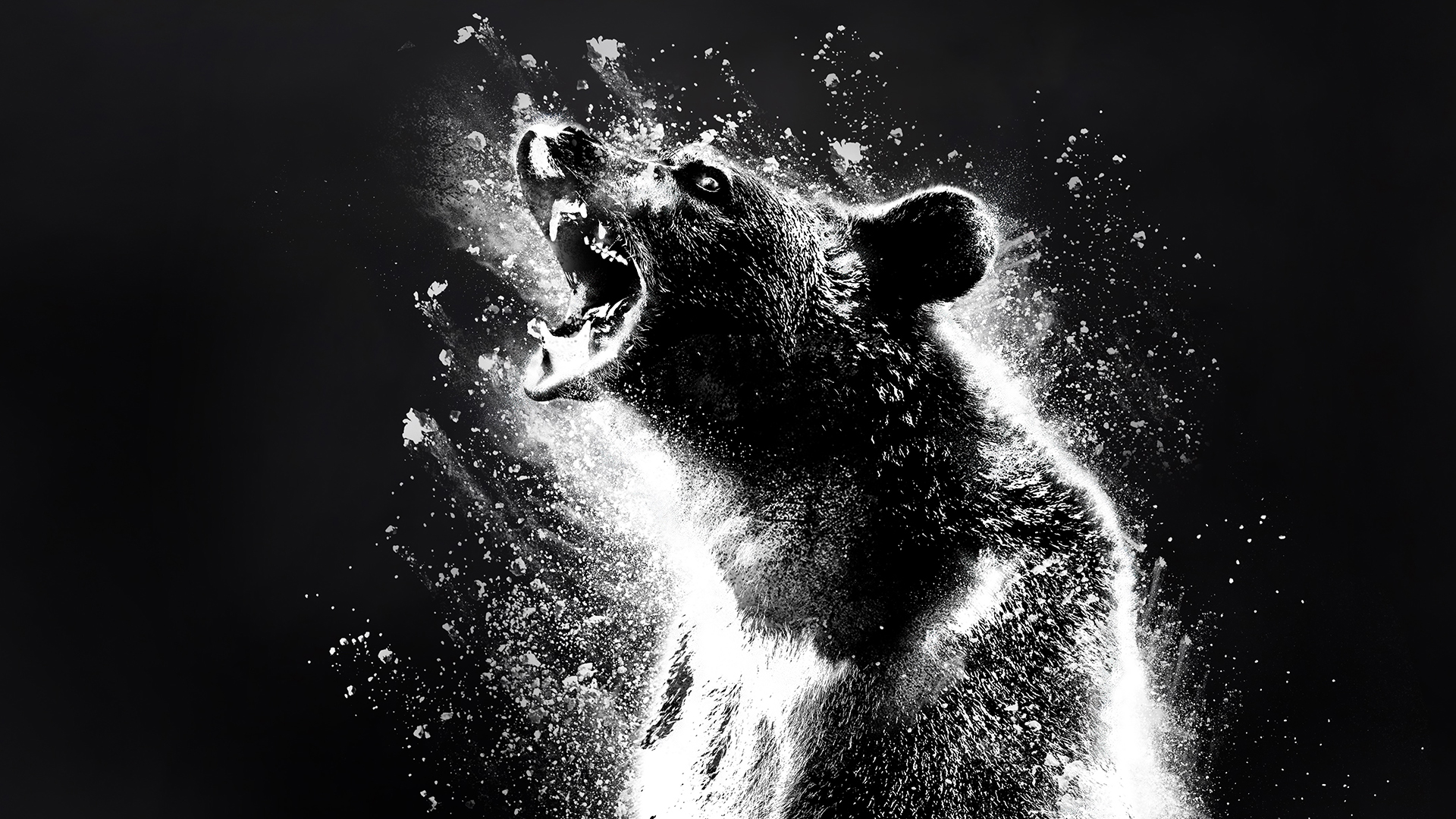 Tuesday Releases: Cocaine Bear & Magic Mike’s Last Dance