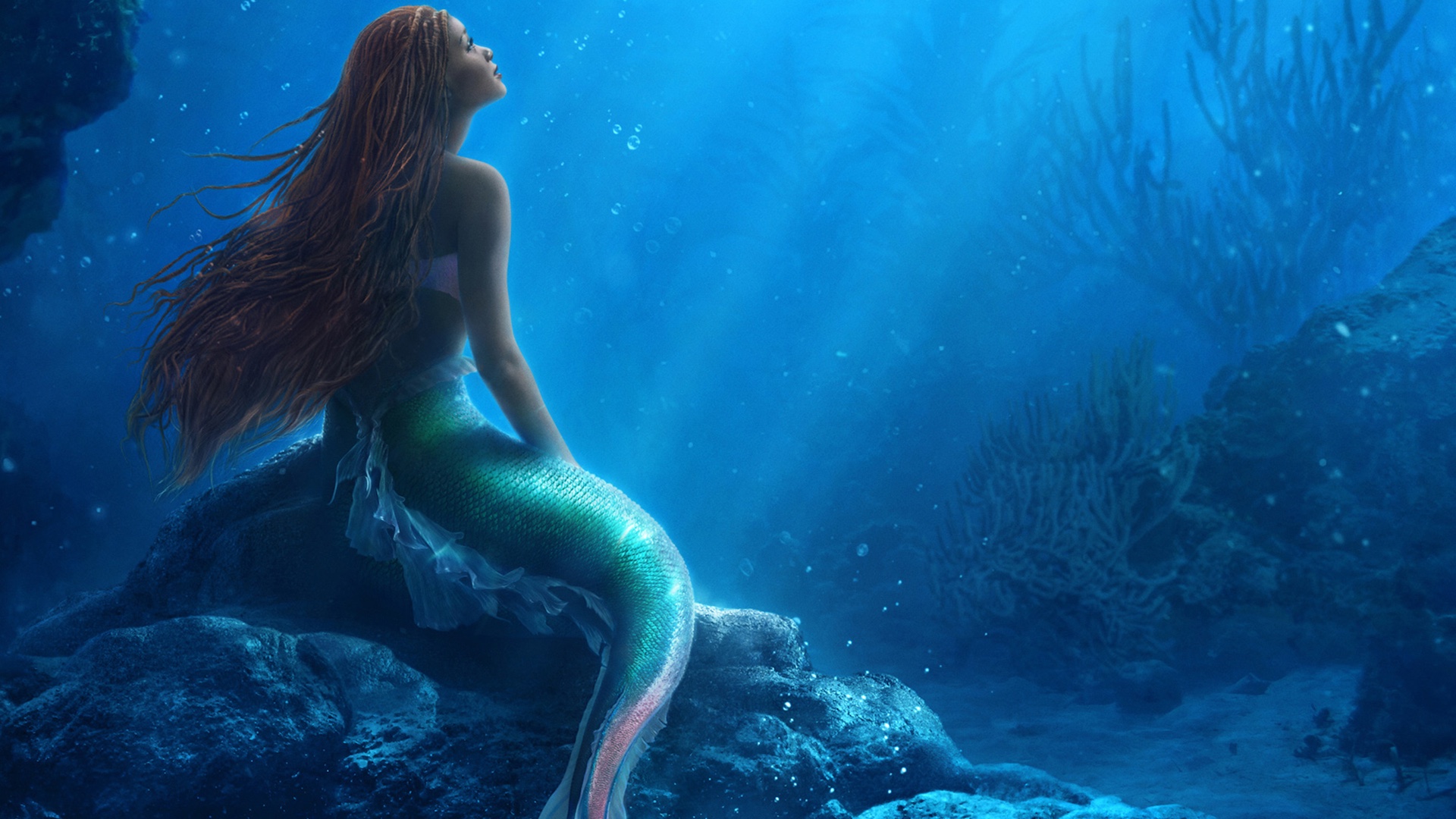 Tuesday Releases: The Little Mermaid & Past Lives