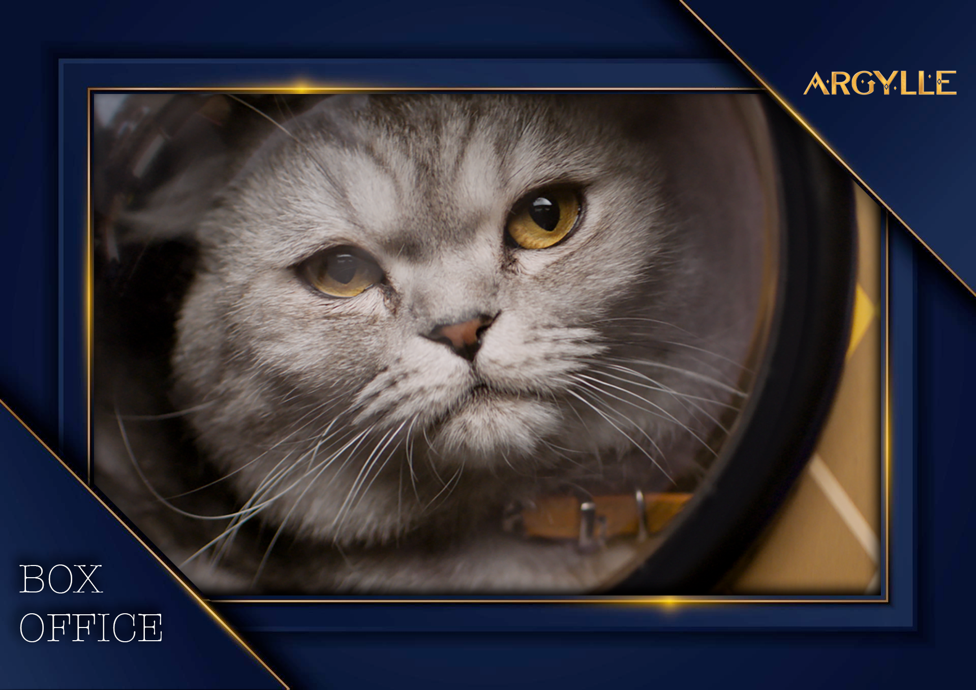 Weekend Box Office: “Argylle” Reaches Highest Earnings While Coming Under Fire