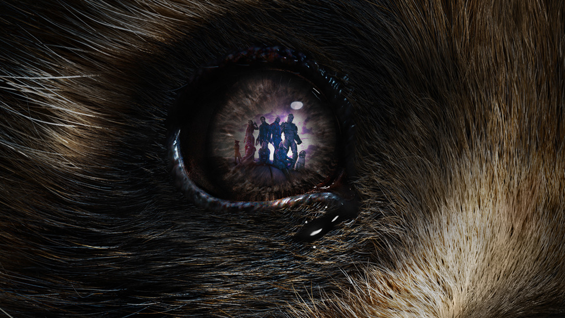 Collection: May 2024 Physical Media Audit