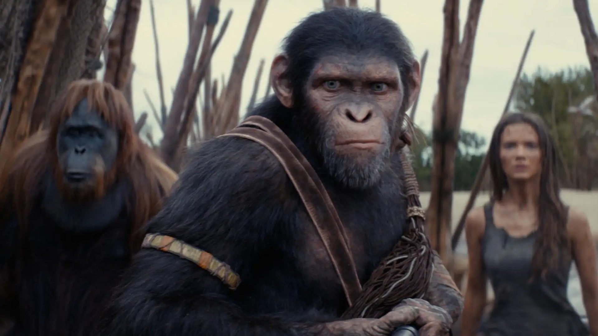 Oscars Watch: 23rd Annual Visual Effects Society (VES) Awards