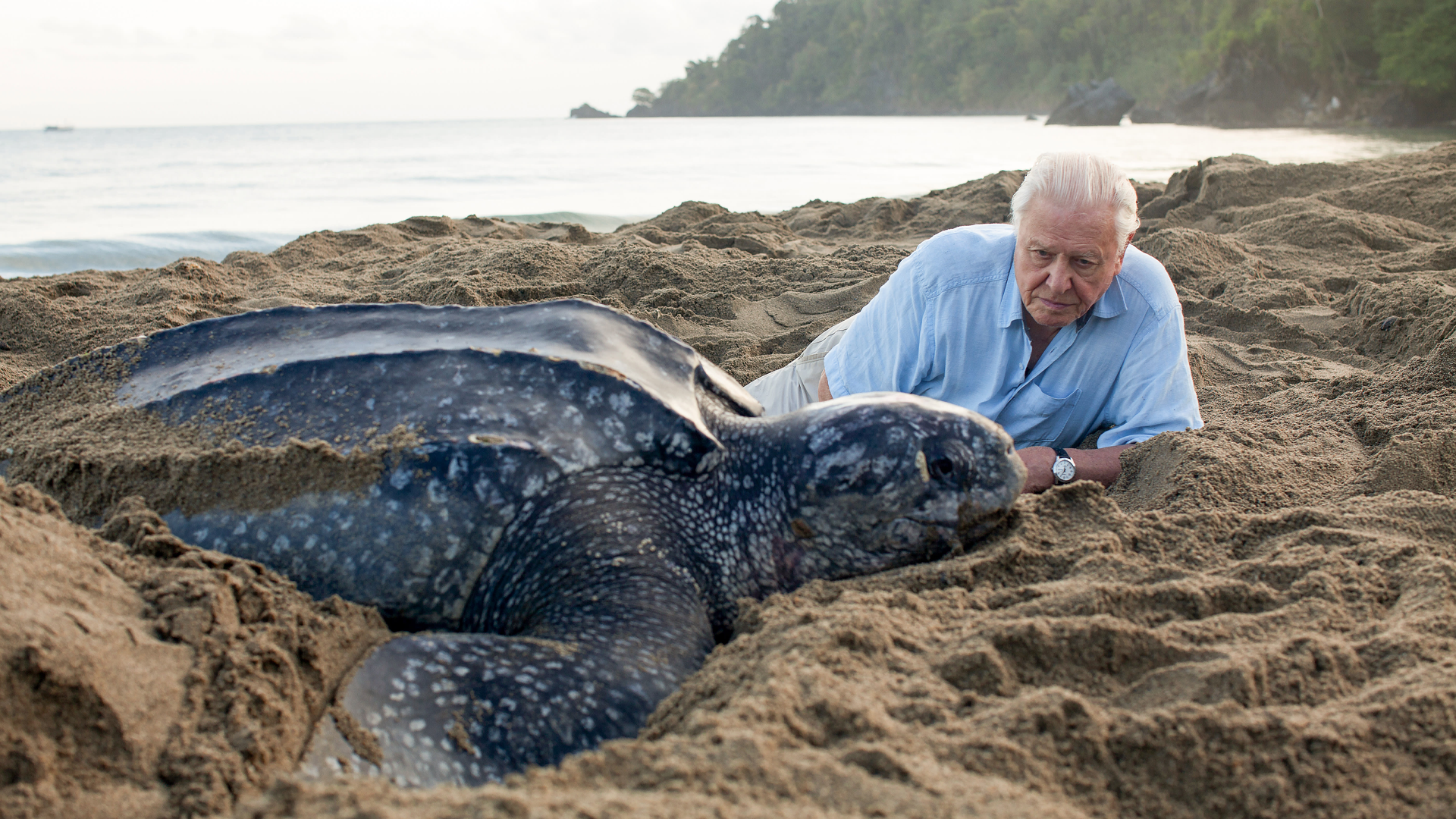 Oscars Watch: 37th Annual Producers Guild Award Nominees Announced for Documentary Motion Pictures