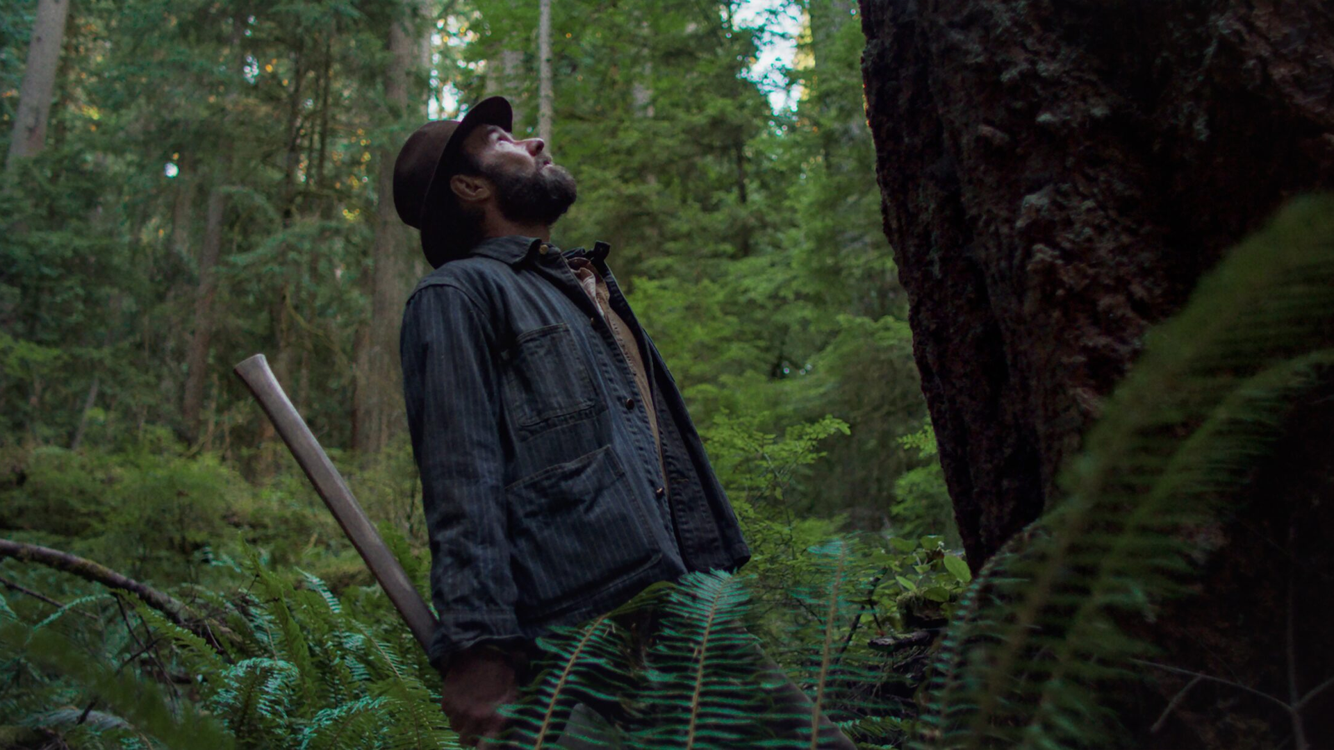 Oscars Watch: 2025 Georgia Film Critics Association Award Nominees