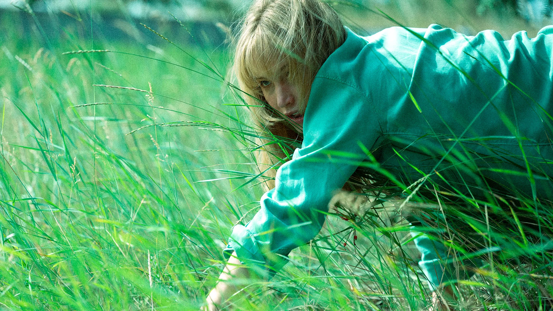 Oscars Watch: 70th Annual British Society of Cinematographers Award Nominees