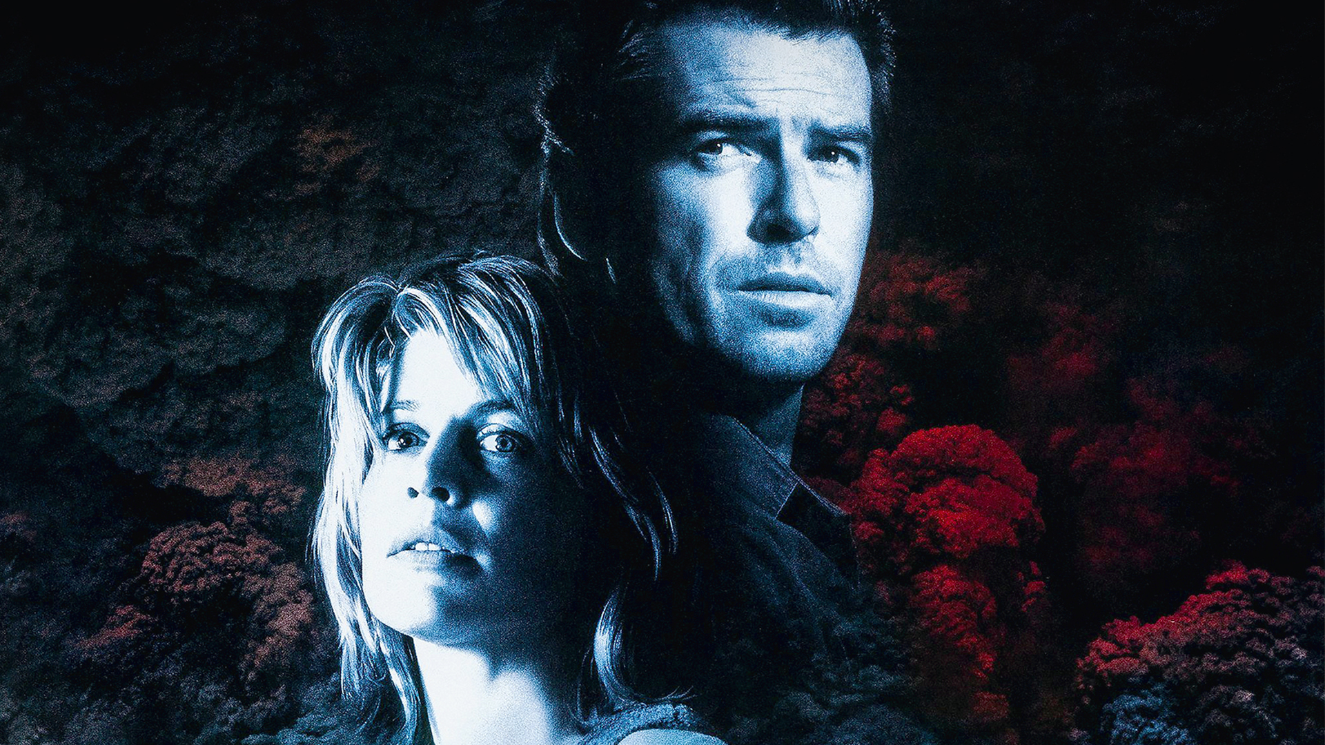 Collection: January 2026 Physical Media Audit