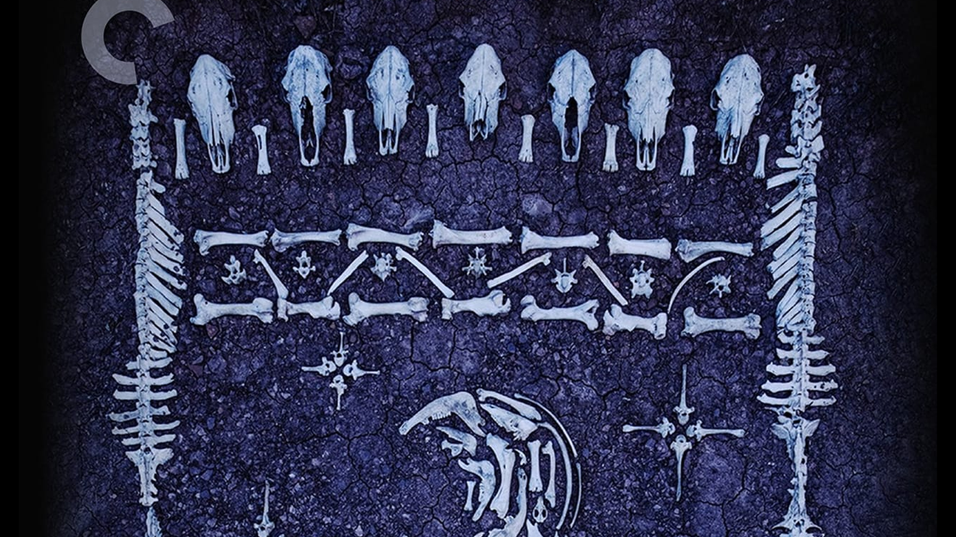 Collection: March 2026 Physical Media Audit